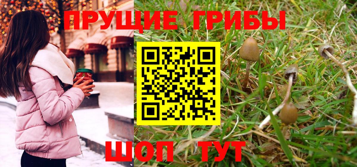 Пермь  Псилоцибиновые грибы Magic Shrooms  где продают наркотики  Вход с VPN 