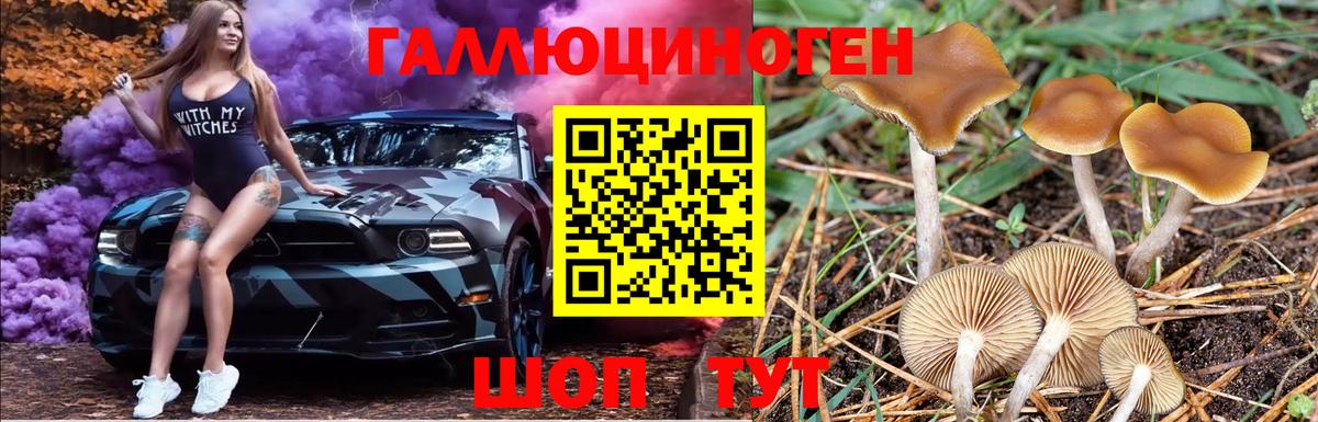 Галлюциногенные грибы Cubensis Пермь